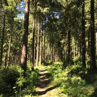 MEHRZWECKEIER