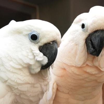 TwoOfUs