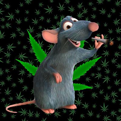 haskellenthusiast 🖇️