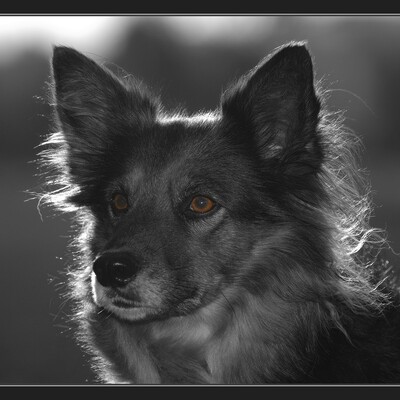 dieterffm@pixelfed.de