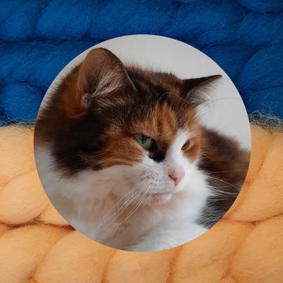 Perdita