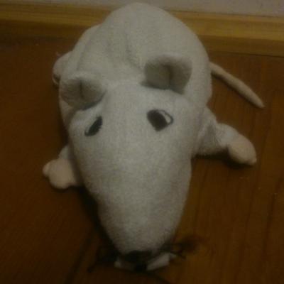 Hannes
