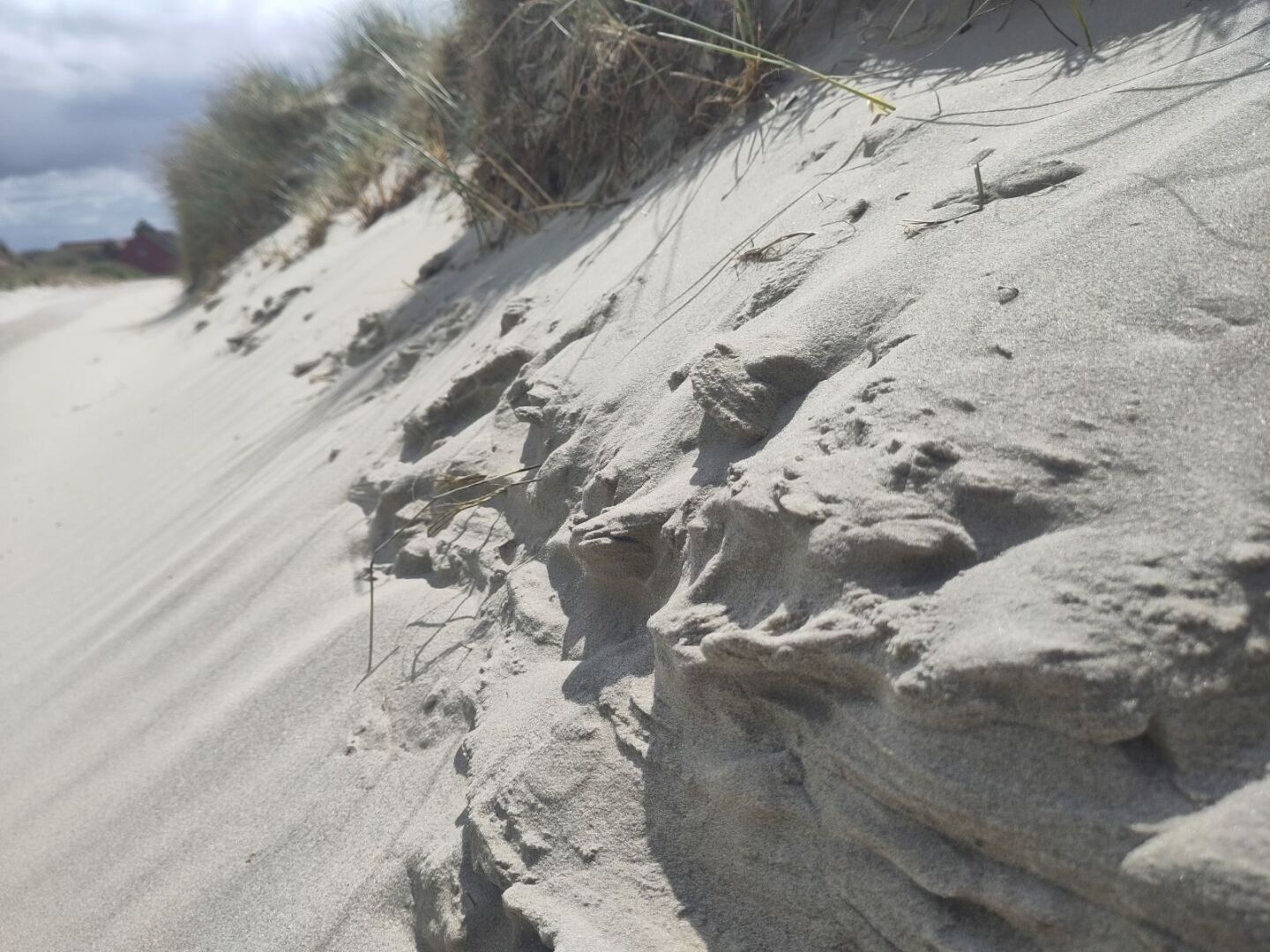 Das - schon ältere - Foto zeigt eine Nahaufnahme auf einen kleinen Teil einer Inseldüne. Zu sehen sind die Spuren des Windes im Sand in einem sonnigen Moment: Verwehungen, Abbrüche, sehr gebirgsähnlich.
Im Hintergrund sind Gräser und ein stark bewölkter Himmel zu sehen.