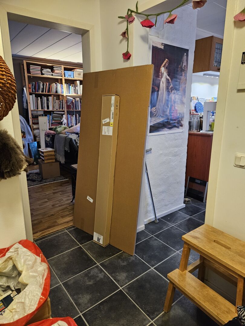 A gigantic flat cardboard box half blocking the way to my kitchen and my living room, together with a tall and narrow one. These contains the desktop and the legs to the adjustable desk.