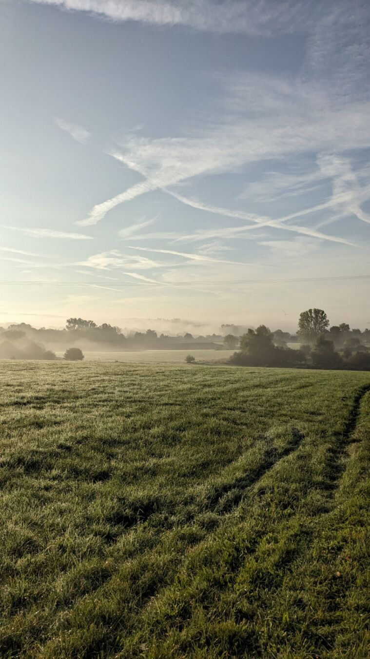 Dickes Nebelfeld über Feldern Richtung Tal