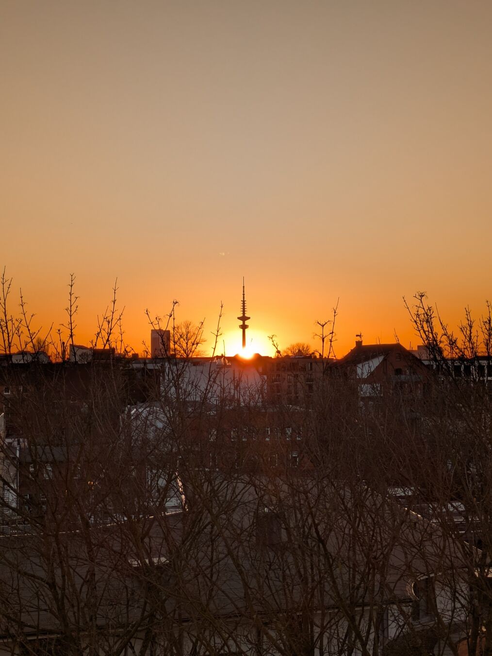 Bilck über Baumspitzen und Häuserdächer in Richtung Hamburger Fernsehturm. Direkt hinter dem Fernsehturm geht die Sonne unter, es ist klarer Himmel ohne eine einzige Wolke.