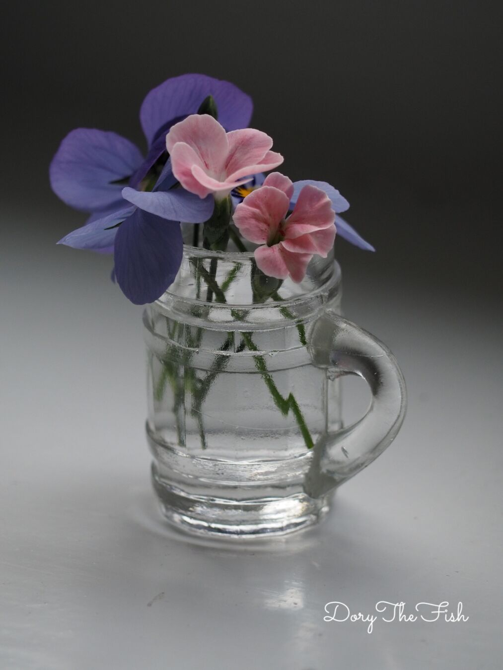 Shot glass with violets and tiny pink carnations on neutral background.