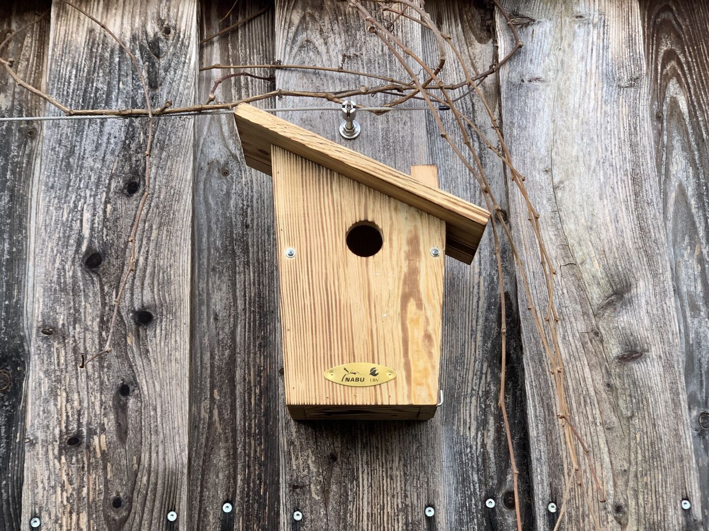 Vogelhaus an Lärchenholz.