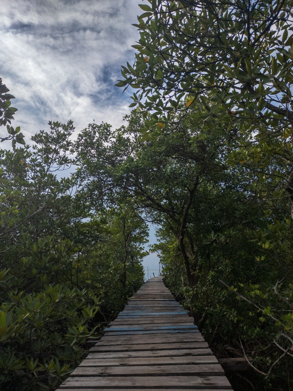 Wooden bridge