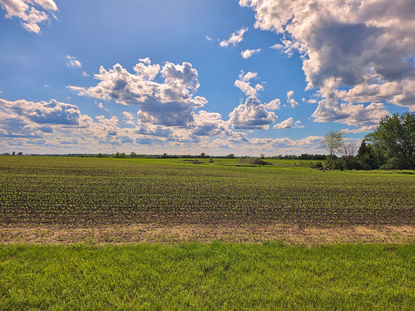 Blue sky above green fields