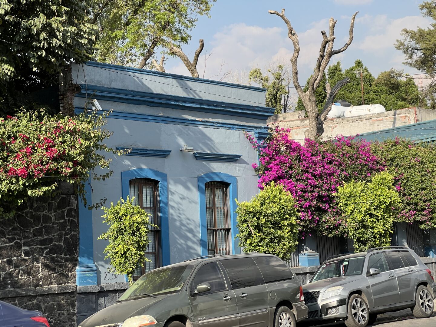 A front of a house surrounded by plants