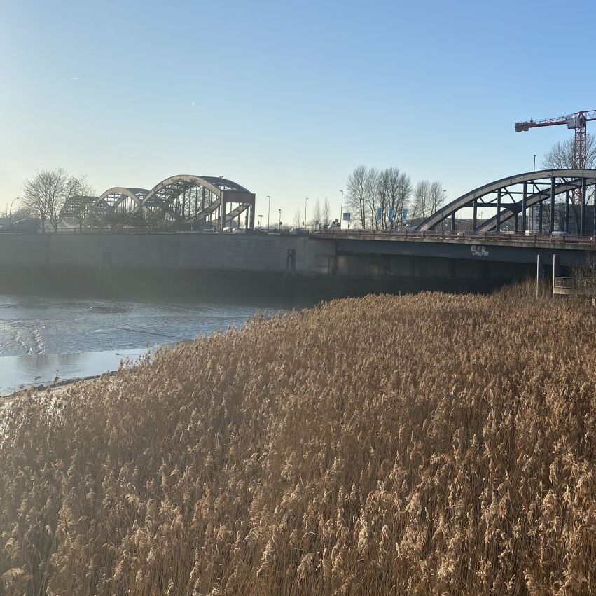 Blick auf die neue Elbbrücken. Im Hintergrund Baukräne in der Hafencity.