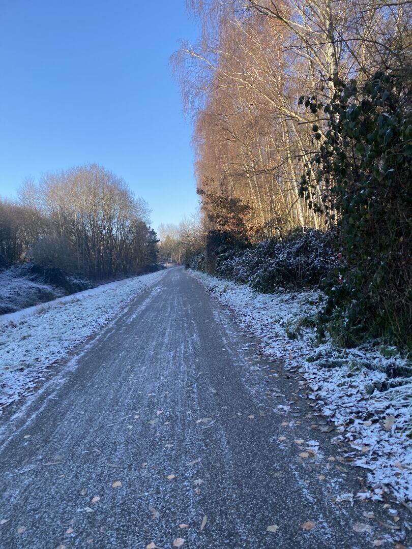 Vereister Radweg der Veloroute 9 in Hamburg im Dezember. Rechts stehen Bäume, links ist ein Graben und ein schöner blauer Himmel.