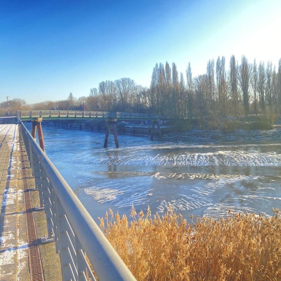 Winterlicher Blick auf die Brücke über den „Haken“ im Hintergrund Bäume beim Elbpark Entenwerder.