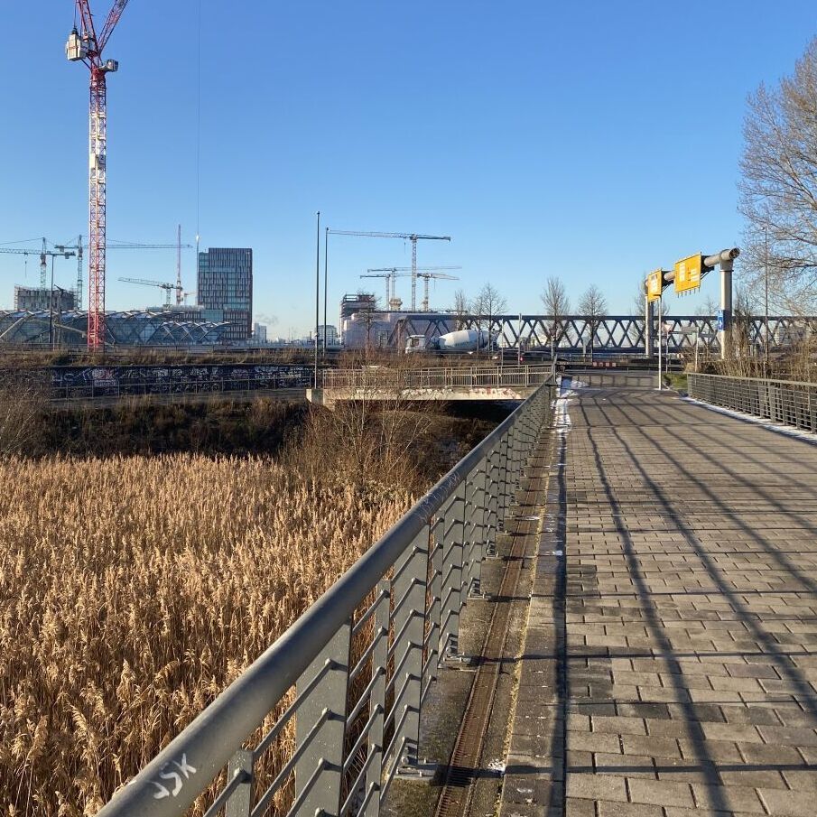 Radweg in Richtung Hafencity, im Hintergrund Baukräne vor blauem Himmel.