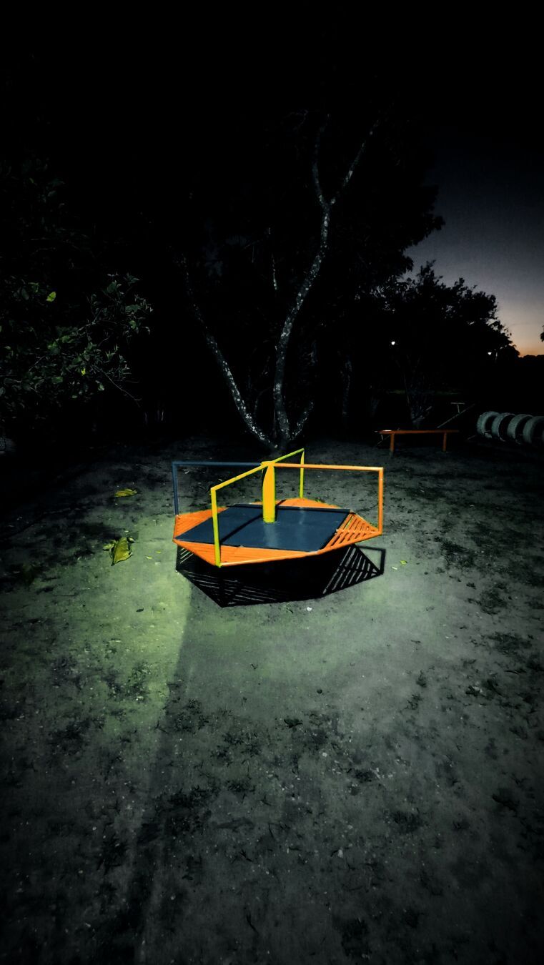 Un solitario carrusel.