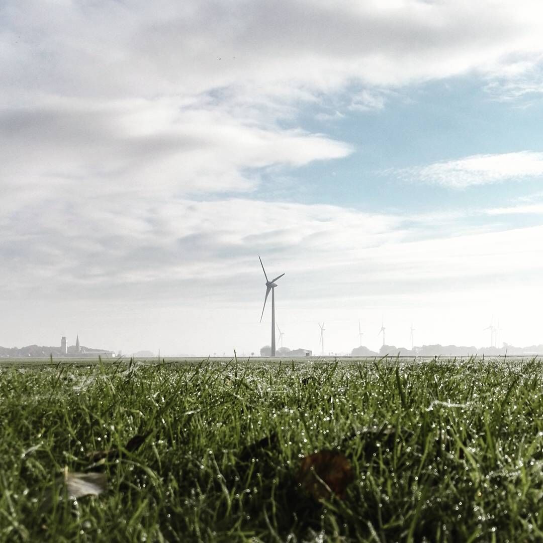 Wind turbine on green field.