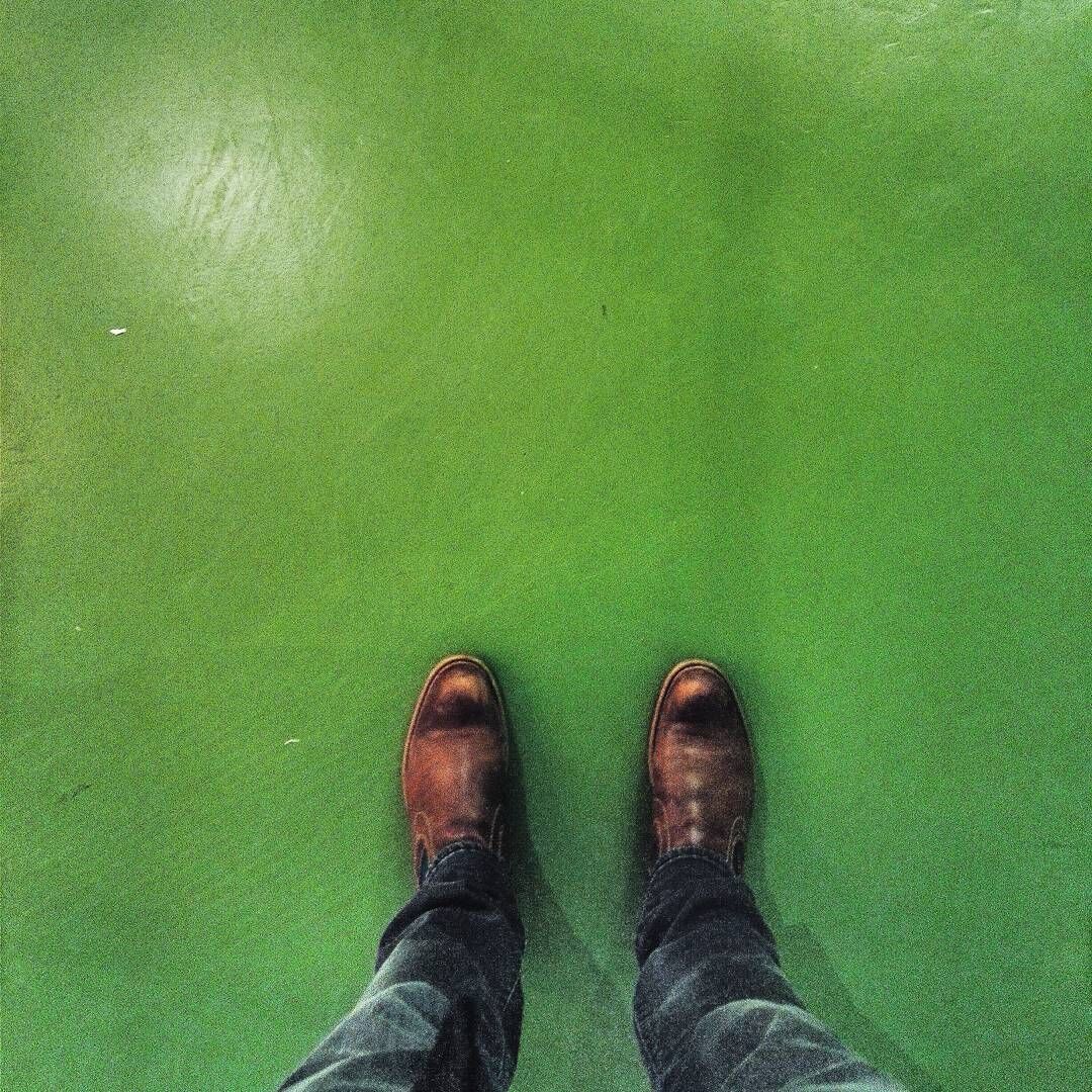 Feet with brown shoes on green floor.
