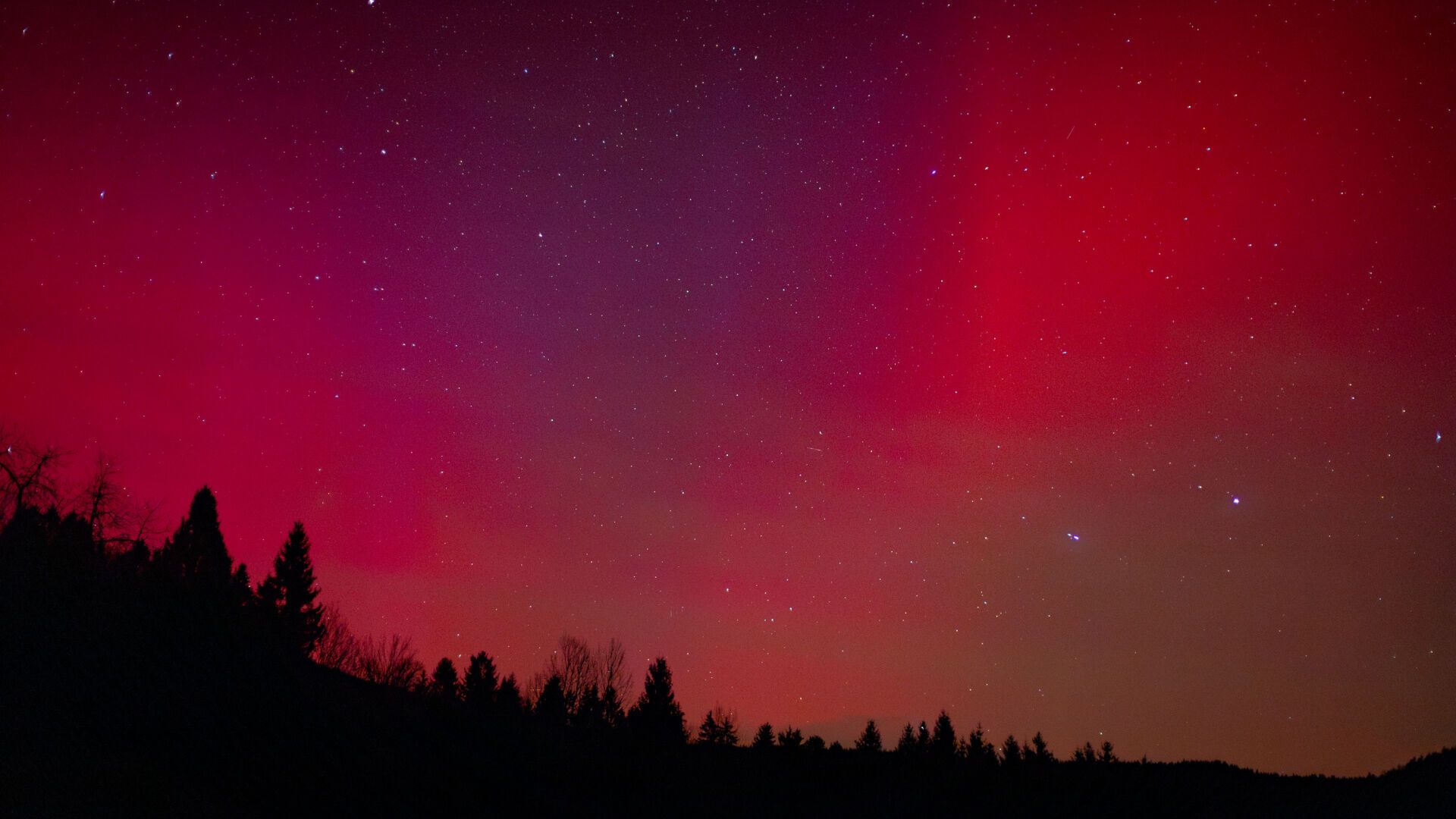 In rot und orange leuchtendes wolkenhaftes Polarlicht vor einem klaren Sternenhimmel. Im Vordergrund am unteren Bildrand sind die schwarzen Silhouetten von Bäumen und Hügeln zusehen.