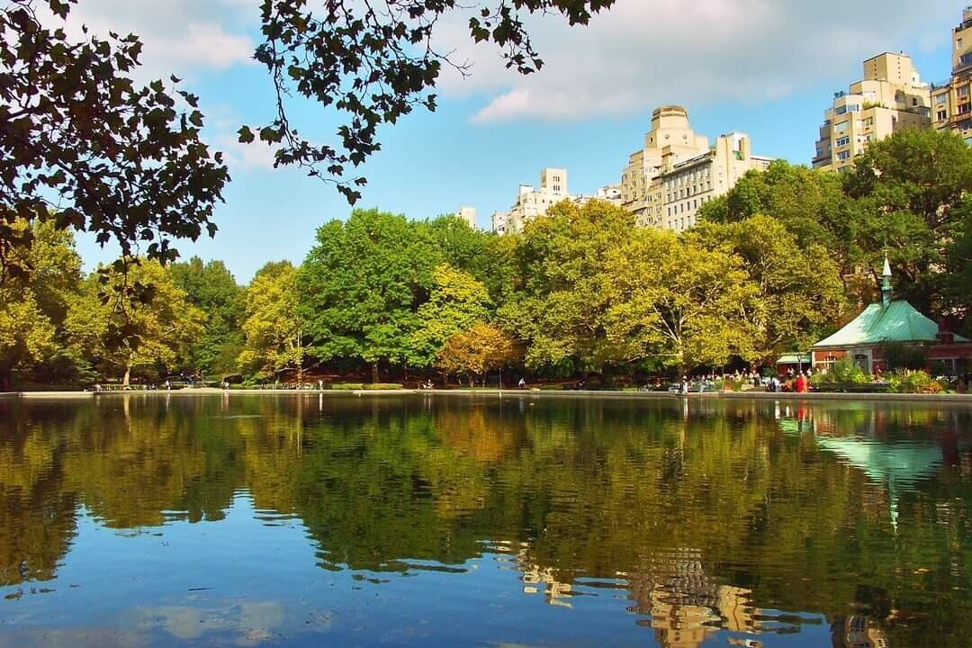 Ein See mitten im Central Park, umgeben von großen Bäumen mit Laub in Herbstfarben. Ein paar Hochhäuser ragen im Hintergrund hervor. Die Bäume spiegeln sich im ruhiger Wasser des Sees.