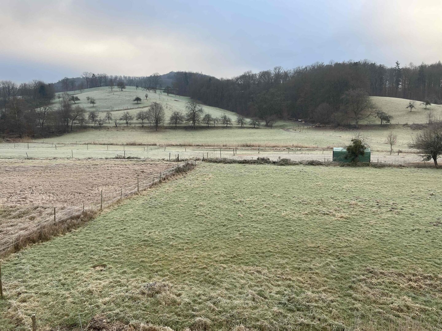 Wiesen die von Tau belegt sind. Blauer Himmel zwischen Wolken zu sehen.