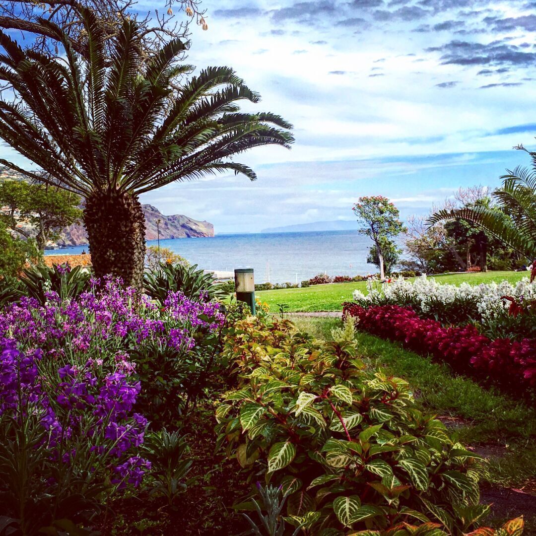 Vor einem Blumenbeet in einem Park. Hinter dem Beet steht eine Palme. Das Gelände ist nach hinten abschüssig, dahinter ist das Meer zu erkennen.