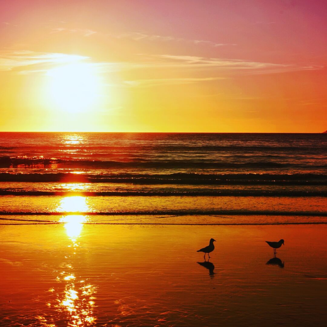 La mer

#meermittwoch 

#photography #atlantic #sunset