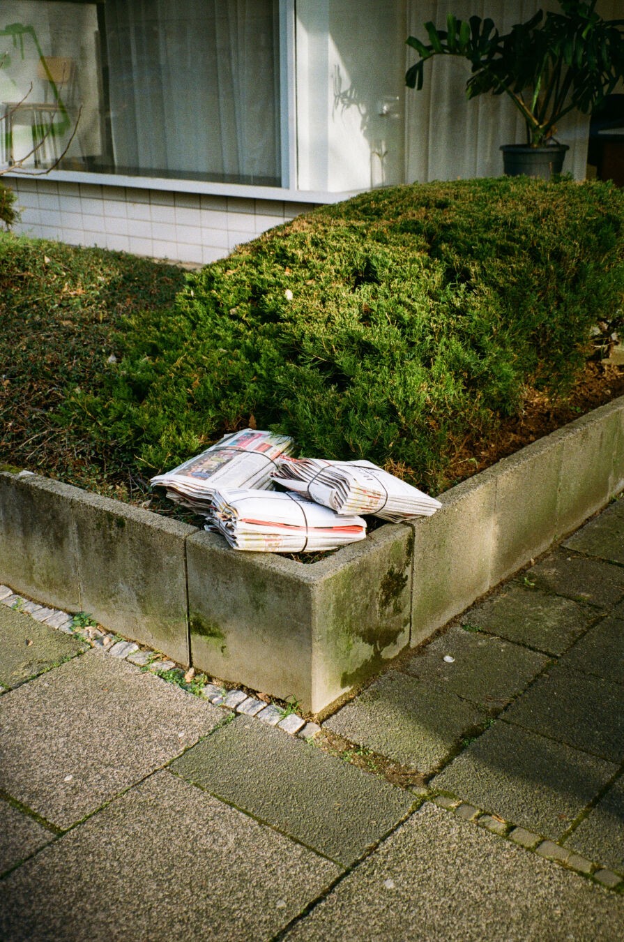 A photo of bundled-up newspapers laying in a hedge on the edge of a sidewalk
