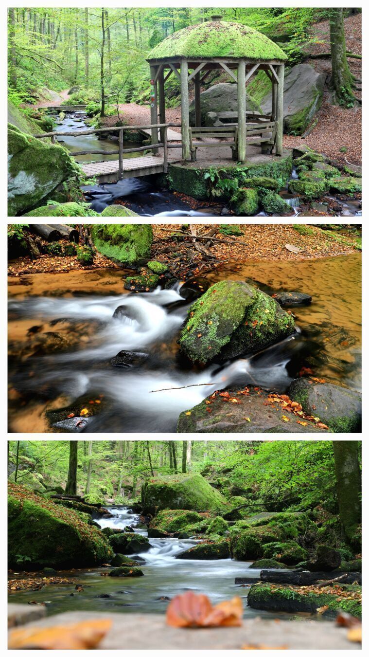 Karlstalschlucht, Collage mit viel Moos, Wasser und Wald