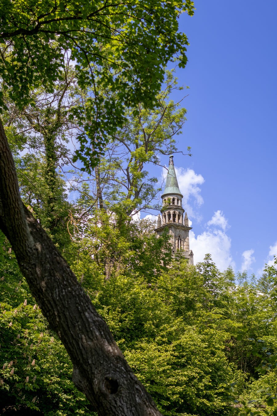 ein Foto eines Turms in einiger Entfernung. Der Turm ist auf der einen Seite von grünen Pflanzen eingerahmt, auf der anderen Seite ist der blaue Himmel mit einigen Wolken. Im Vordergrund ragt ein Baum schräg in das Bild.