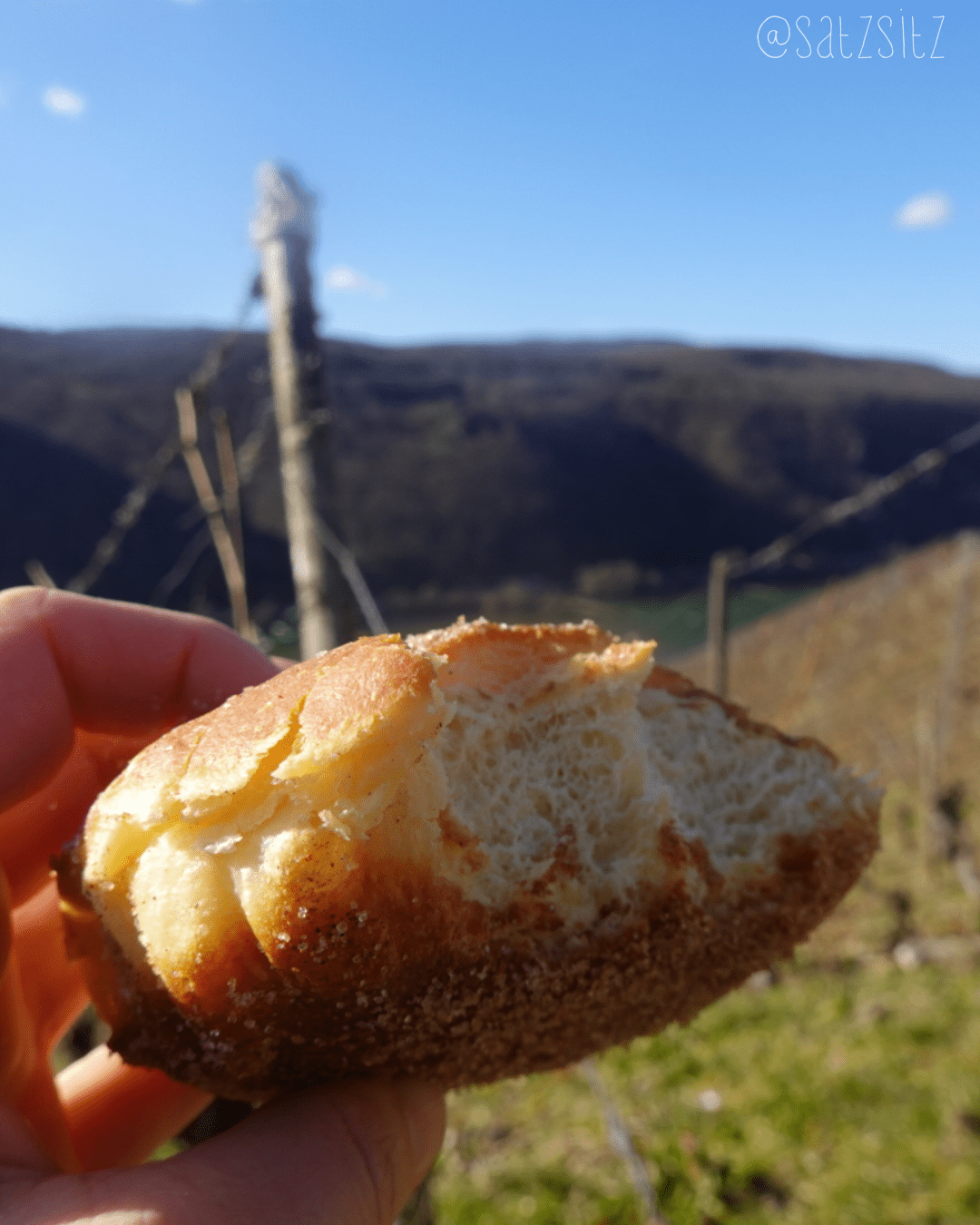 Nahaufnahme auf einen Dinkel-Kreppel (manche sagen auch Krapfen, Pfannkuchen oder Berliner). Im Hintergrund eine schöne Landschaft in Unschärfe.