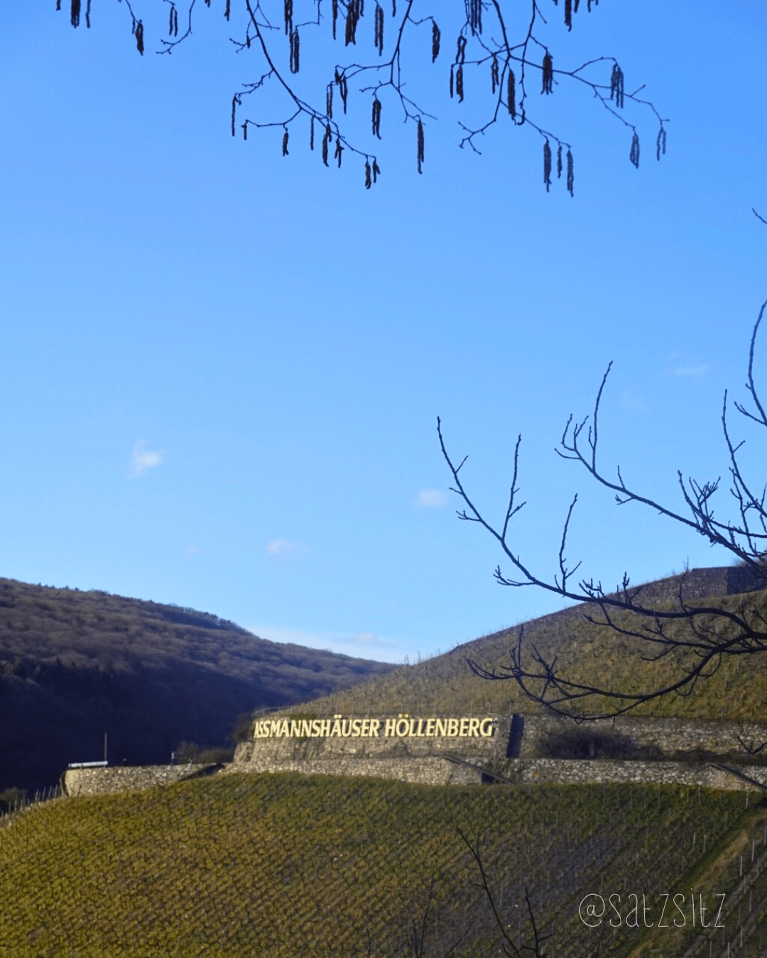 Blick auf den Assmannshäuser Höllenberg. Ein Steilhang Weinberg.