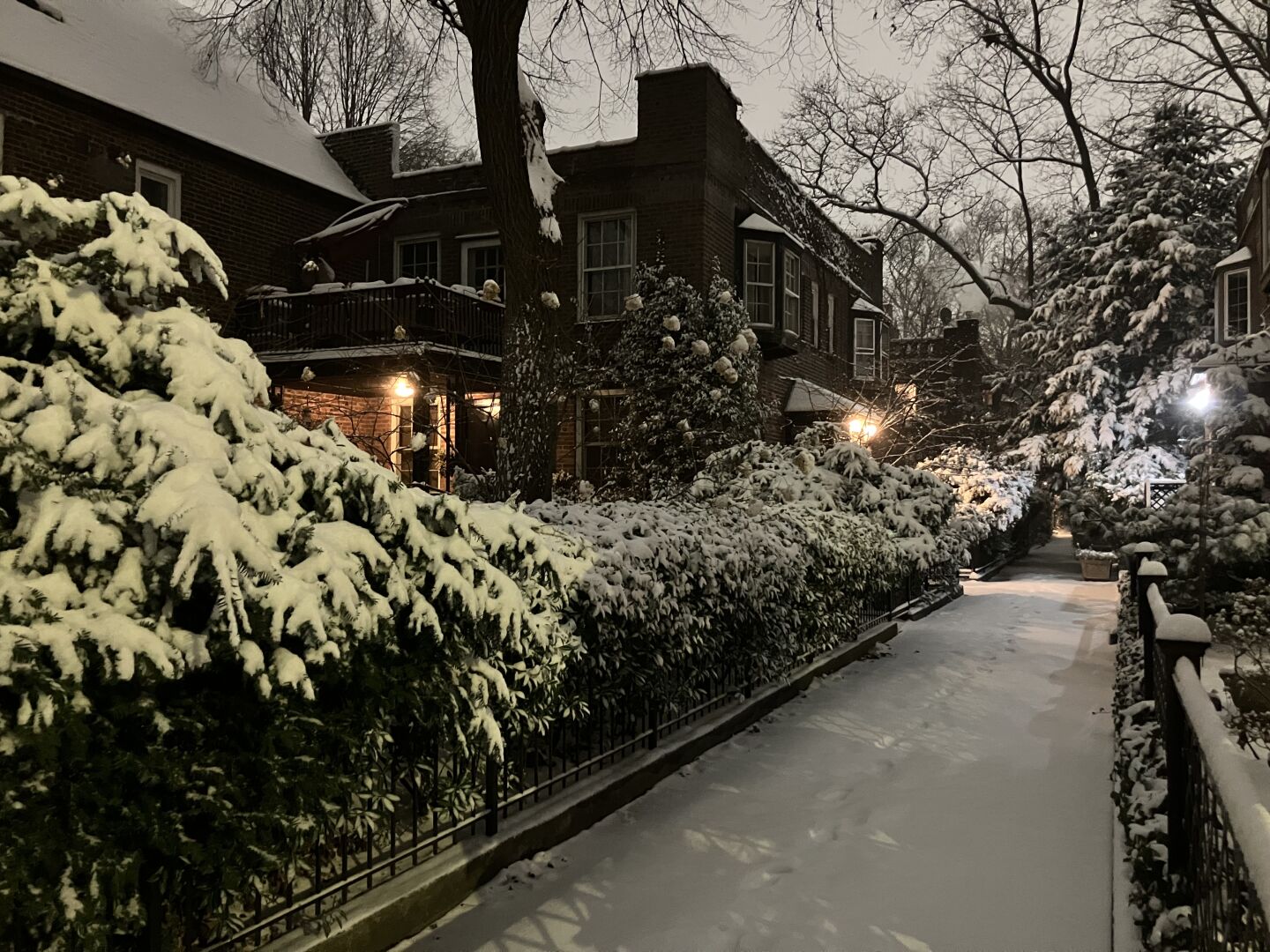 Snow covering trees and houses in an alleyway in the historic neighborhood of Sunnyside, Queens
