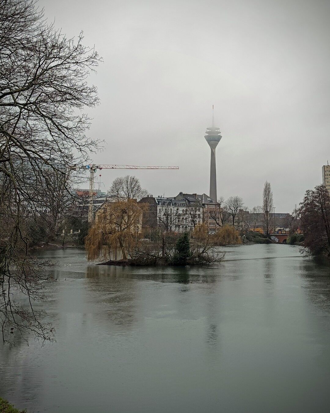 This image shows a cloudy, overcast day in an urban area, with a wide body of water in the foreground. A bare tree with thin branches frames the left side of the scene, while another leafless tree stands on an island in the middle of the water. In the distance, a tall, modern tower, likely the Düsseldorf TV Tower, rises above low-rise buildings and cranes, partially shrouded in mist. The surrounding landscape includes buildings with a mix of architectural styles, and a bridge is visible on the right side. The calm water reflects the muted colors of the sky and surrounding structures.