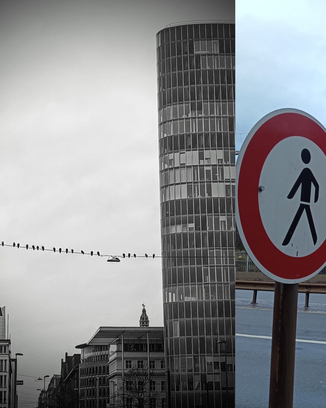 A black and white cityscape features a tall, modern cylindrical building on the right side. Several birds are perched on a wire that stretches horizontally across the foreground, from which a streetlight also hangs. The background includes various buildings with diverse architectural styles, one of which has the word 'KASSE' partially visible on its facade. The overcast sky adds to the moody atmosphere, contrasting the modern cylindrical building with the older, more traditional structures in the scene. The following image is partially visible.
