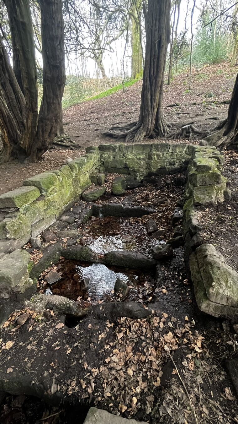 Gawton's Well, within Druids Grove