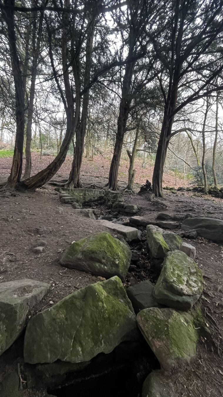 Gawton's Well, and some of the channel leading from it in Druid's Grove.