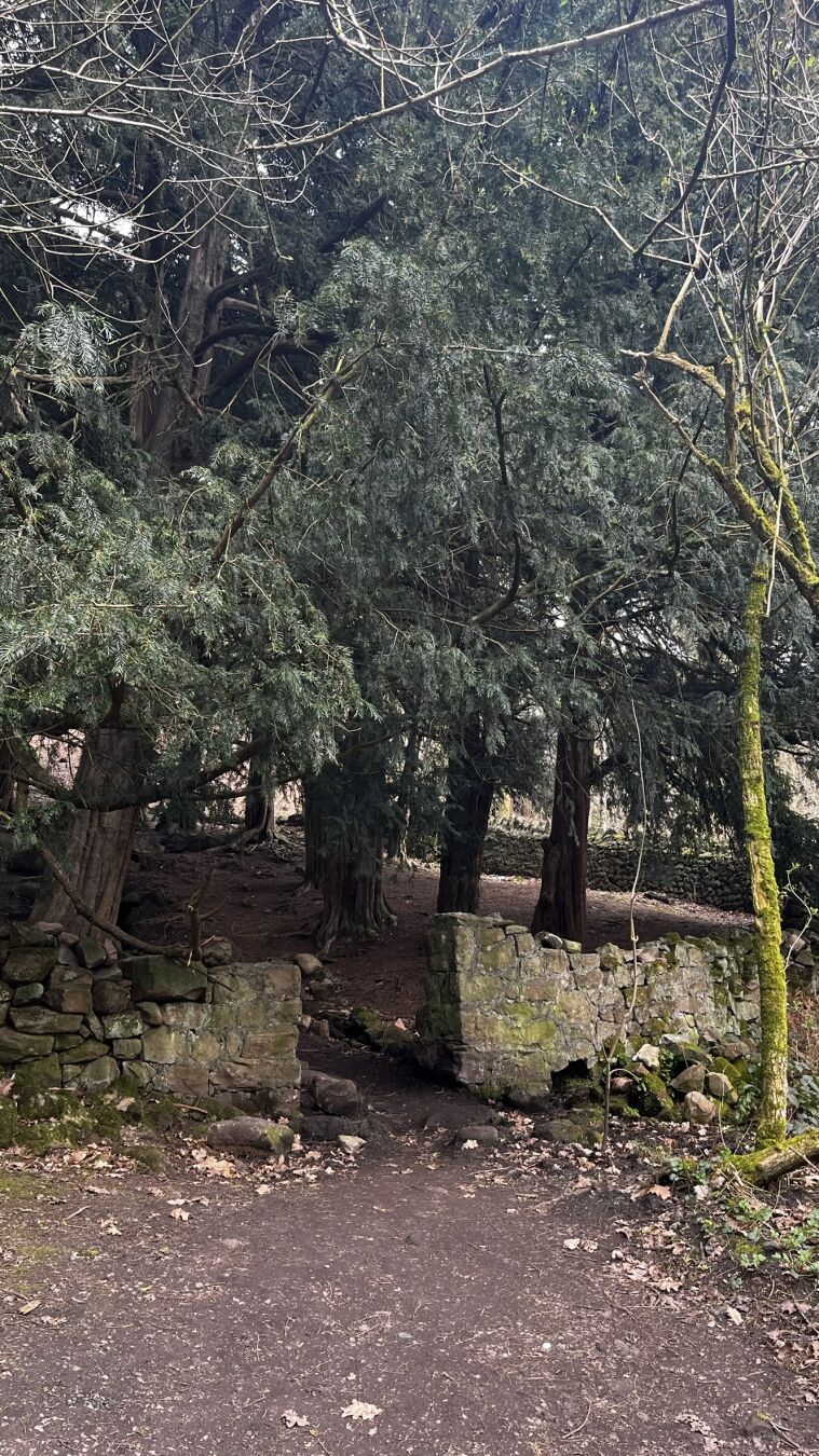 The gateway to Druids Grove.