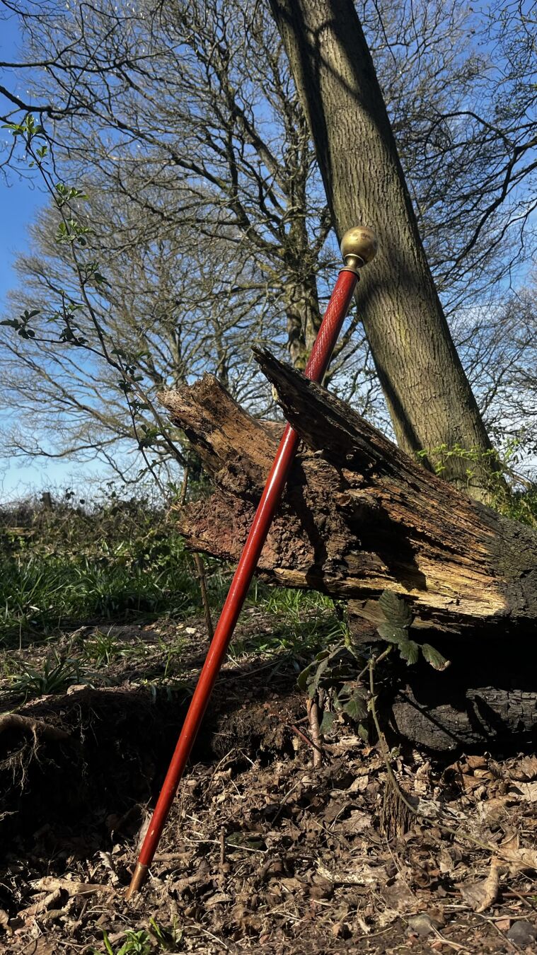 The Mercian Pilgrim's brass handled walking stick, leaning against a tree.