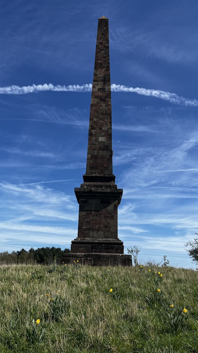The Hagley Obelisk, on Wychbury Hill.