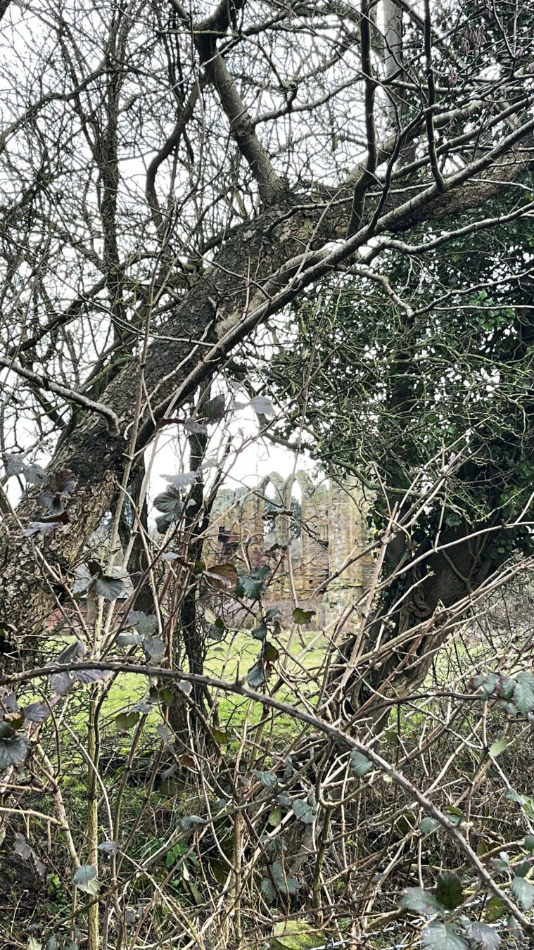 The ruins of Halesowen Abbey, viewed through branches.