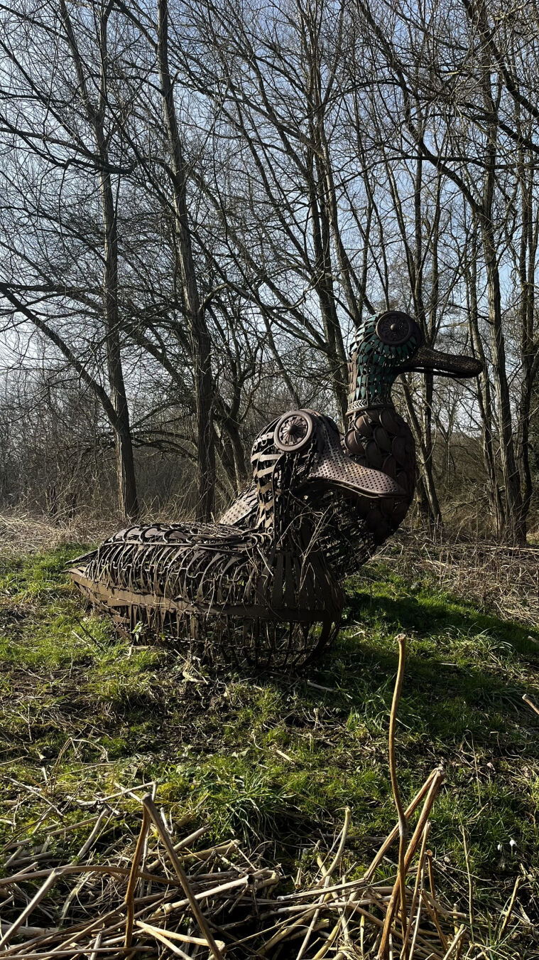 A metal sculpture of two ducks, from the front