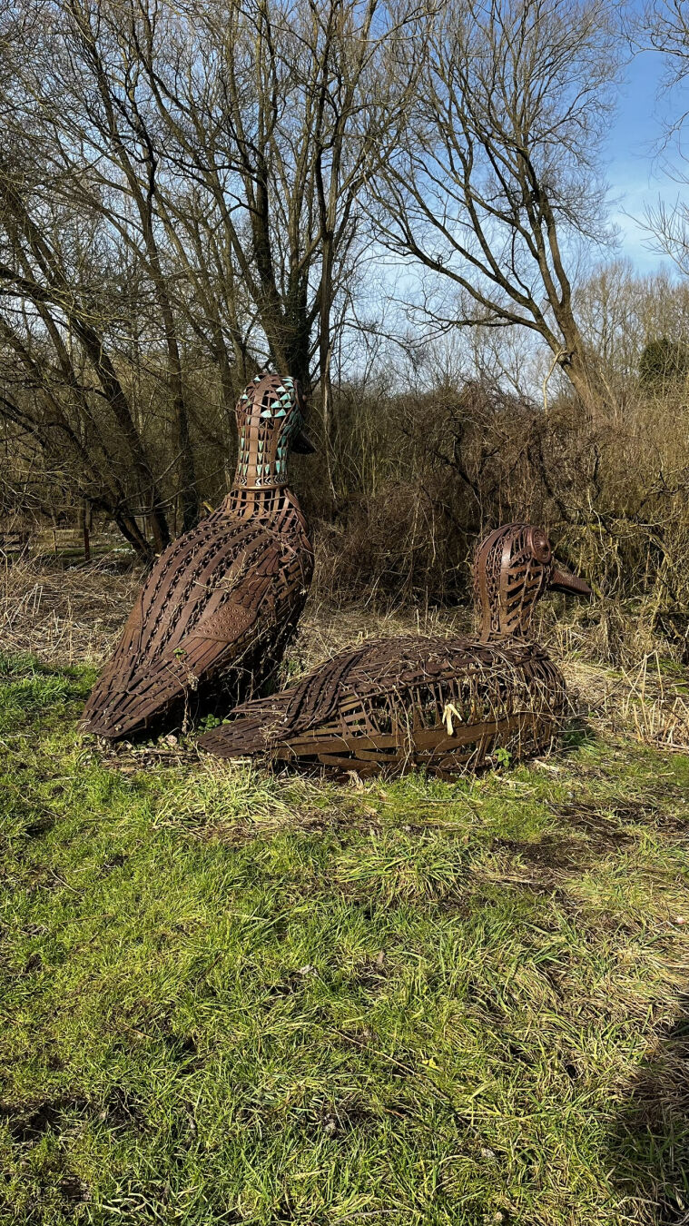 A metal sculpture of two ducks, from the back.