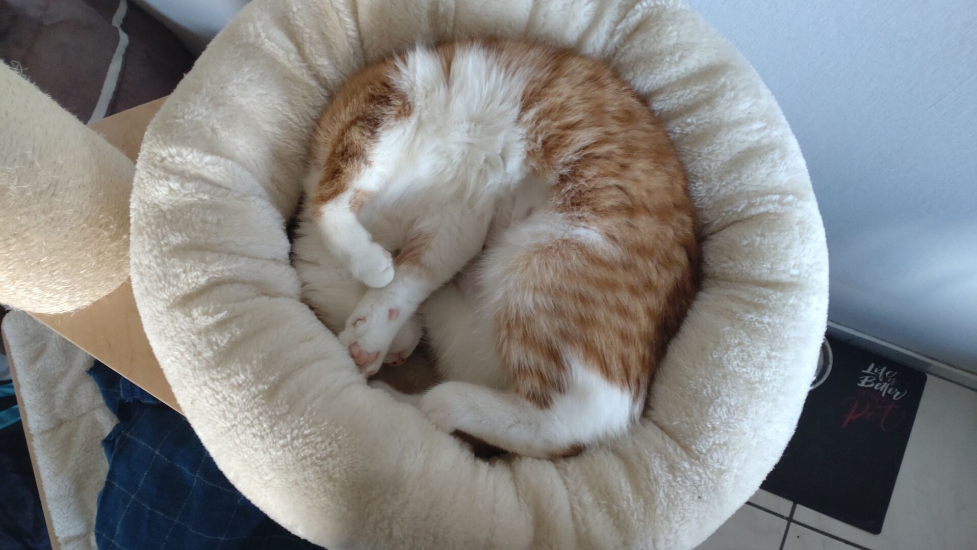 Definitely comfortable!