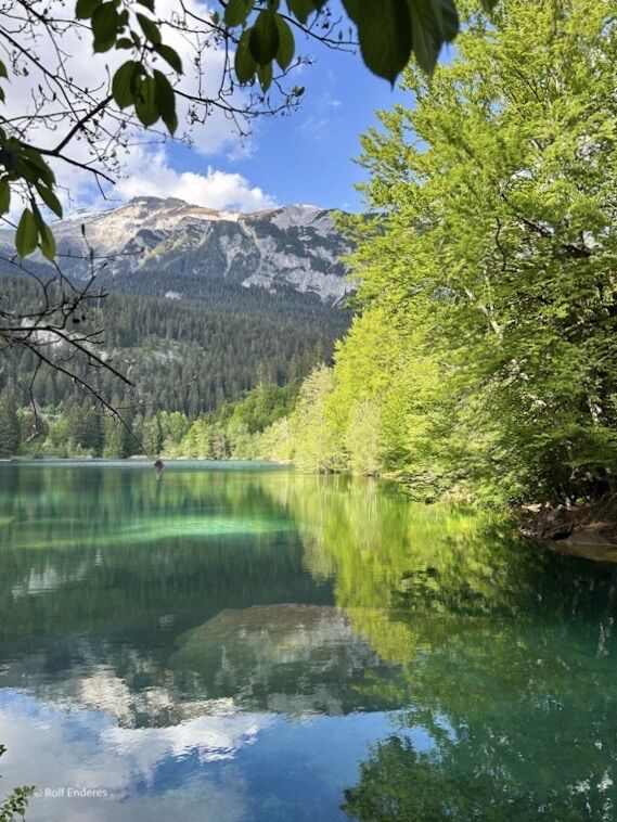 A serene lake surrounded by lush green trees, reflecting the mountains and sky above. Bright blue water contrasts with the vibrant greenery, creating a tranquil natural scene.